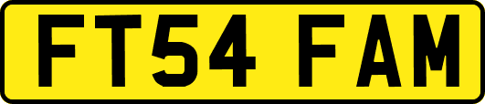 FT54FAM