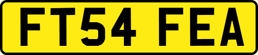 FT54FEA