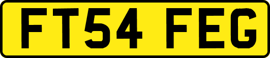 FT54FEG