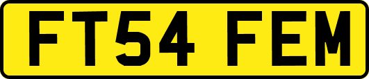 FT54FEM