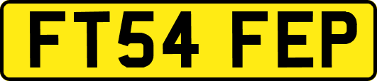 FT54FEP