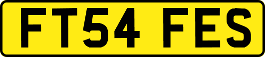FT54FES