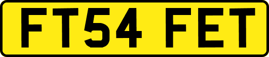 FT54FET