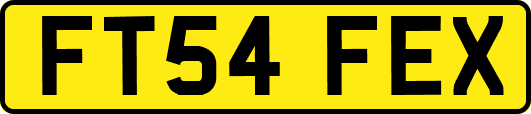 FT54FEX