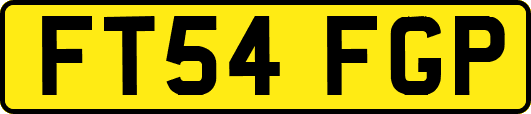 FT54FGP