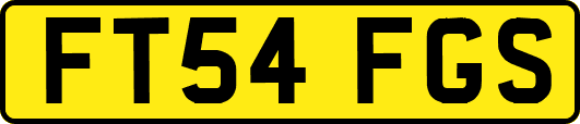 FT54FGS
