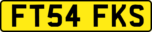 FT54FKS