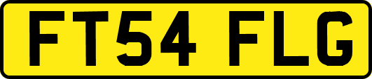 FT54FLG