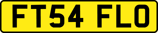 FT54FLO
