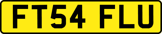 FT54FLU