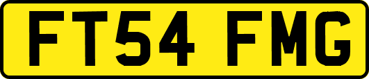 FT54FMG