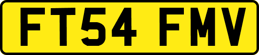FT54FMV