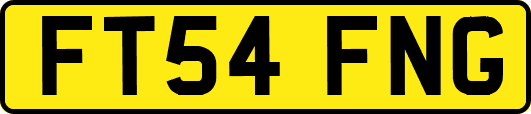 FT54FNG