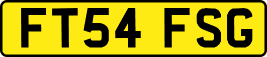 FT54FSG