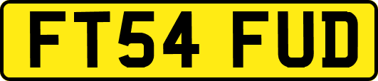 FT54FUD