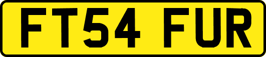 FT54FUR