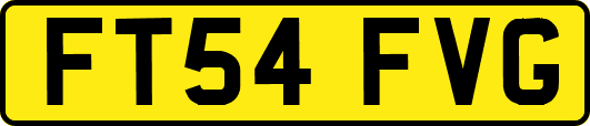 FT54FVG