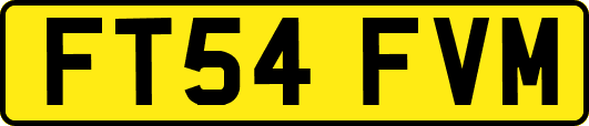 FT54FVM