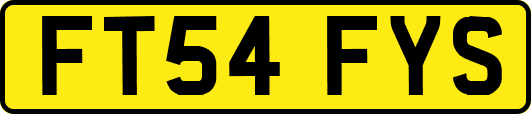 FT54FYS