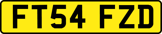 FT54FZD