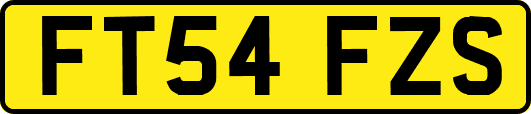 FT54FZS