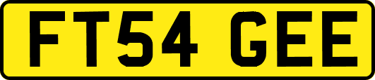 FT54GEE