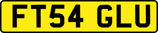 FT54GLU