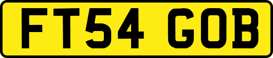 FT54GOB
