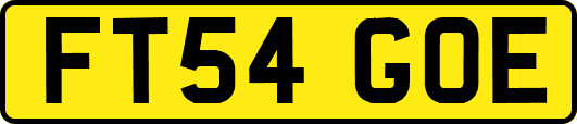 FT54GOE
