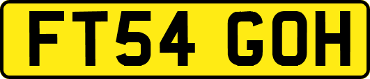 FT54GOH