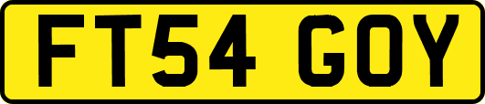 FT54GOY