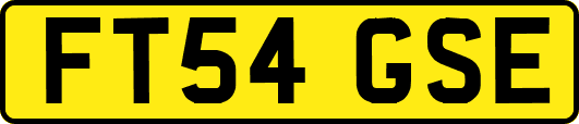 FT54GSE