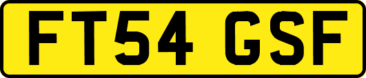 FT54GSF