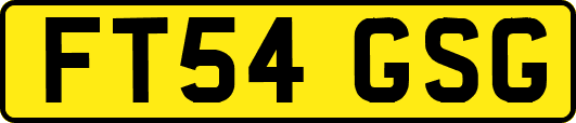 FT54GSG