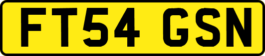 FT54GSN