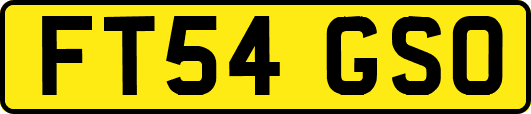 FT54GSO