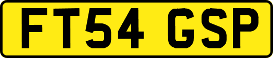 FT54GSP