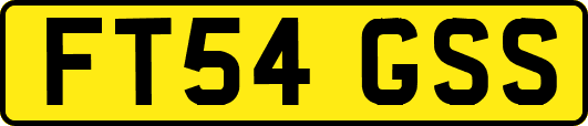 FT54GSS
