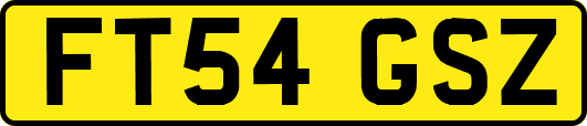 FT54GSZ