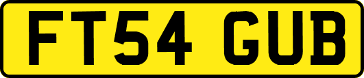 FT54GUB