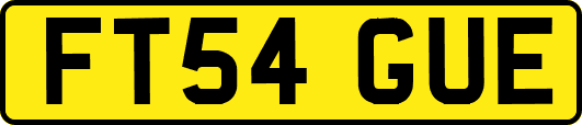 FT54GUE