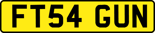 FT54GUN
