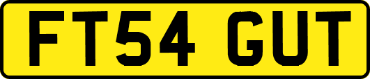 FT54GUT