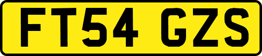 FT54GZS