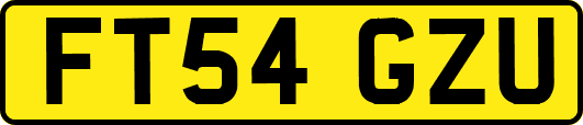 FT54GZU