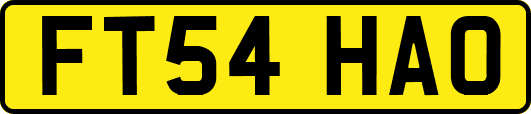 FT54HAO