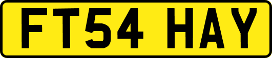 FT54HAY