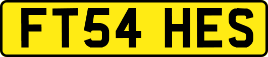 FT54HES