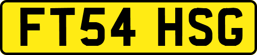 FT54HSG