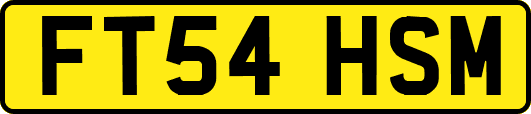 FT54HSM